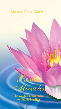 Possible Miracles Book